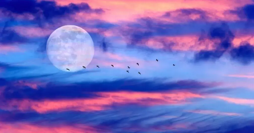 Sagittarius May 2026 Forecast