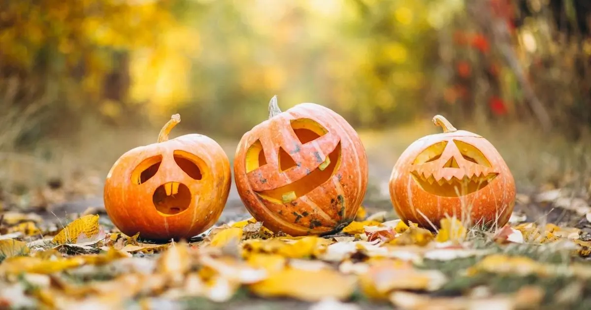 Gemini Daily Focus And Routine Optimization For November 2026