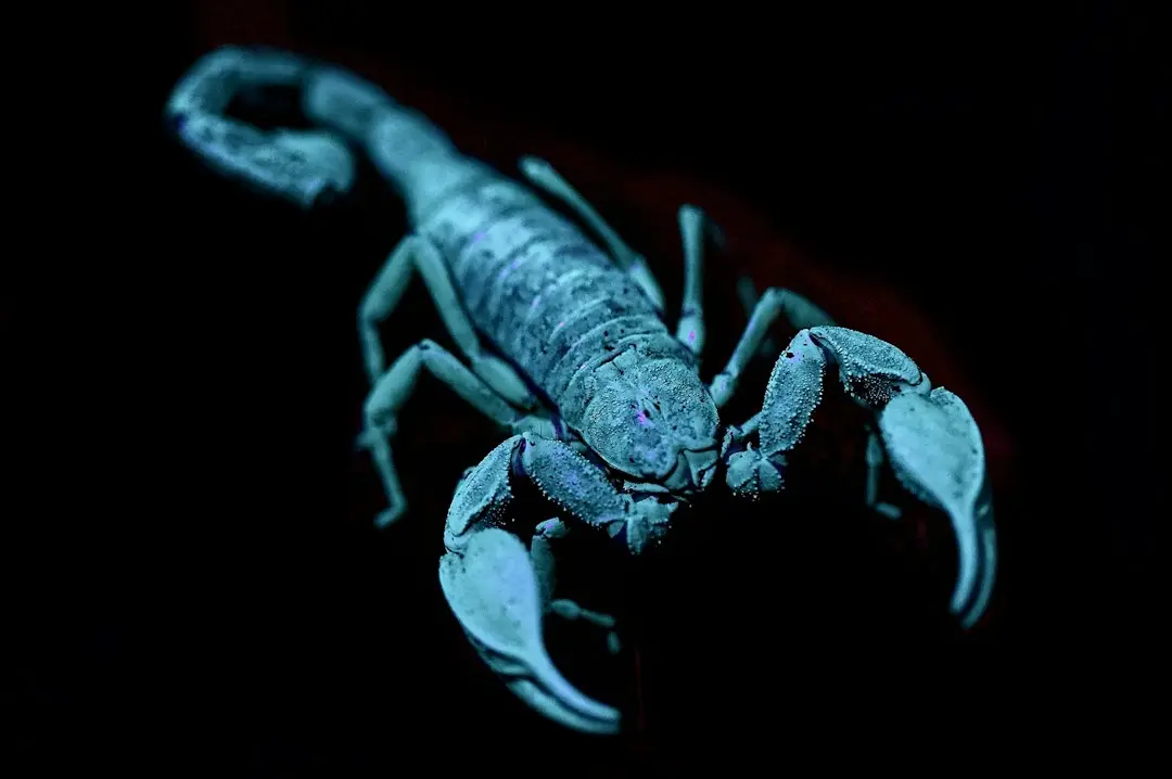 Scorpio Weekly Outlook: Navigating Ambition and Retrograde Challenges